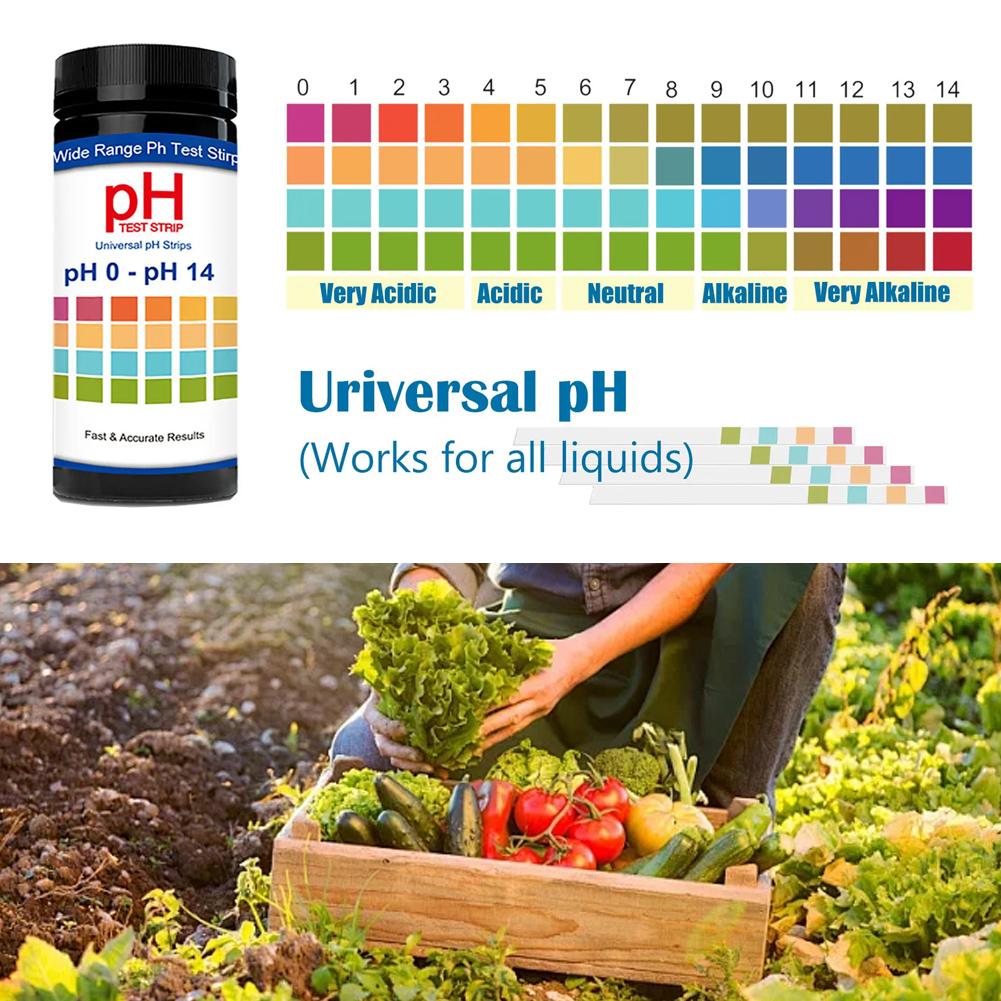 100 Pieces Multipurpose Chlori - đánh giá và giá Ph Strip Test