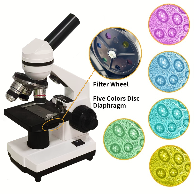 Portable Biological Optical Co - đánh giá và giá Microscope Compound 40X