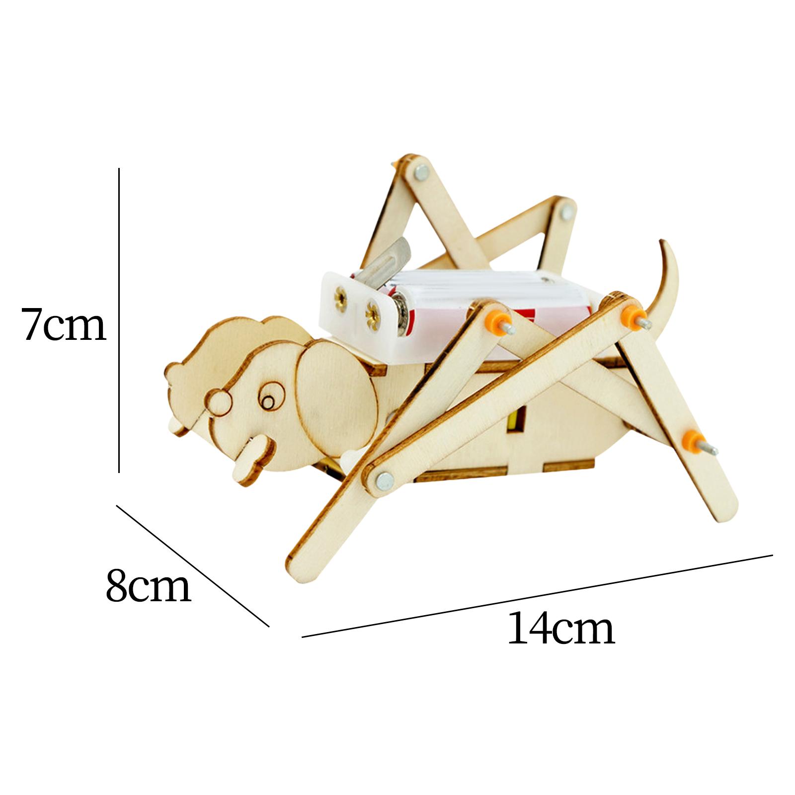 DIY Wooden Model Set Science K - đánh giá và giá Science Project Toys Making