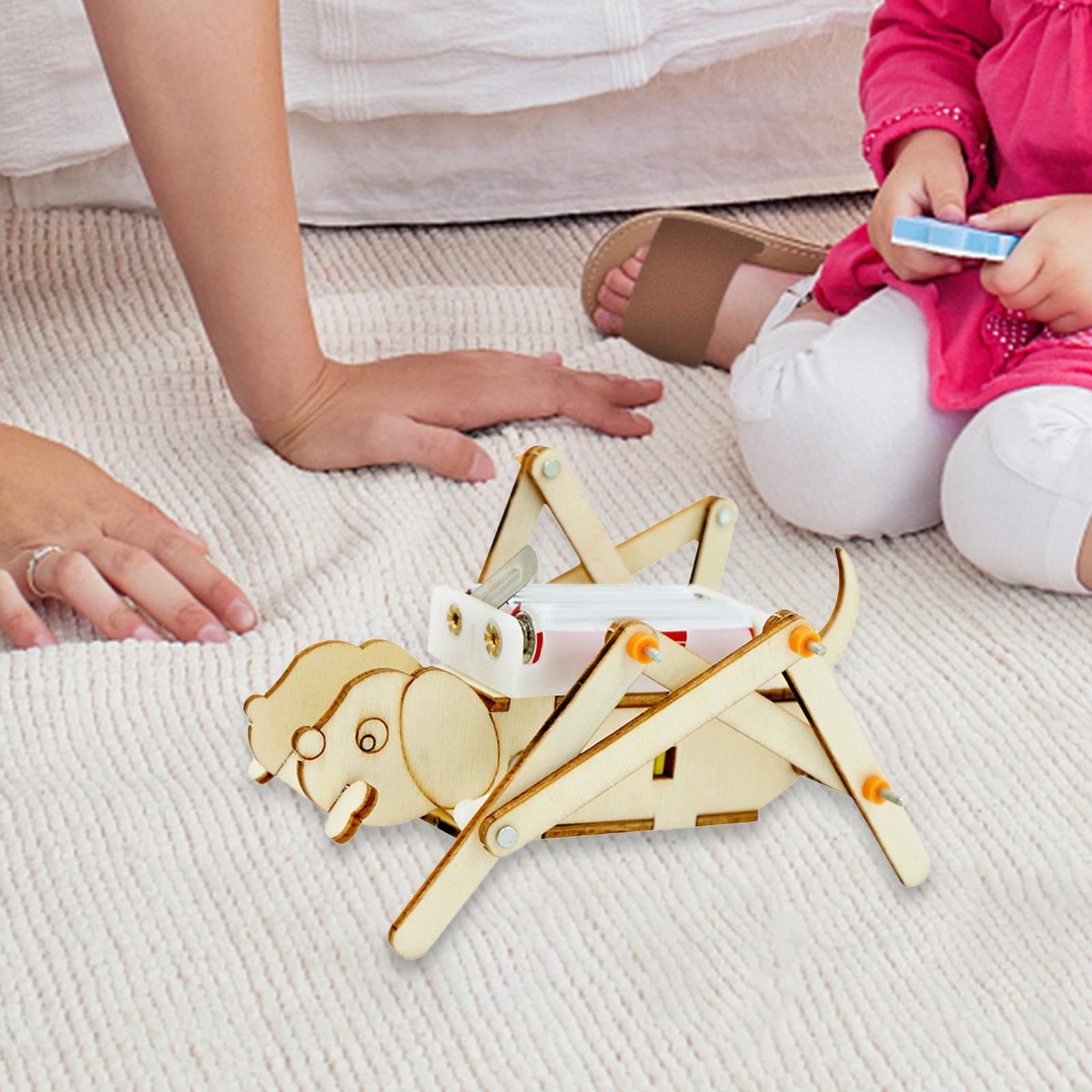 DIY Wooden Model Set Science K - đánh giá và giá Science Project Toys Making