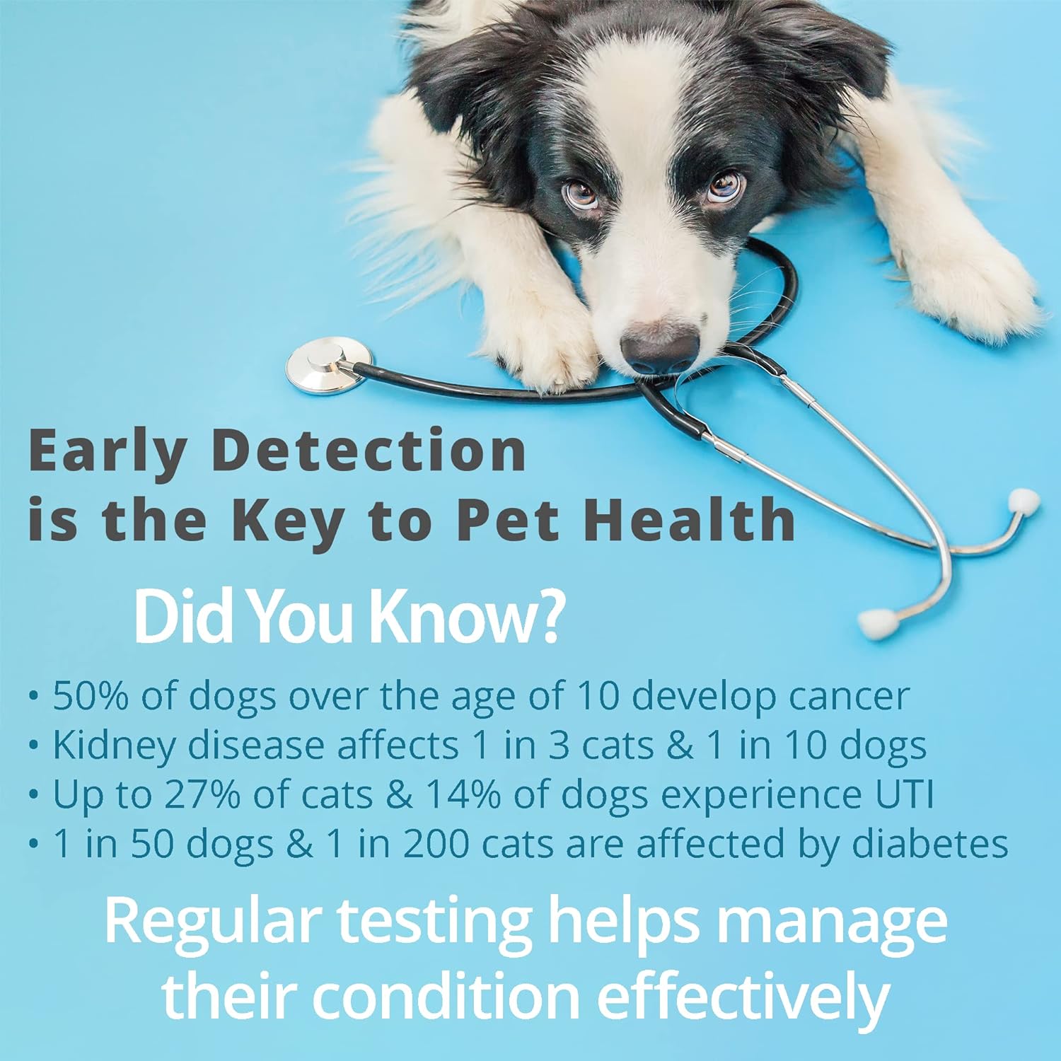 Pet Urine Testing Strips, 100  - đánh giá và giá Ph Strip Test