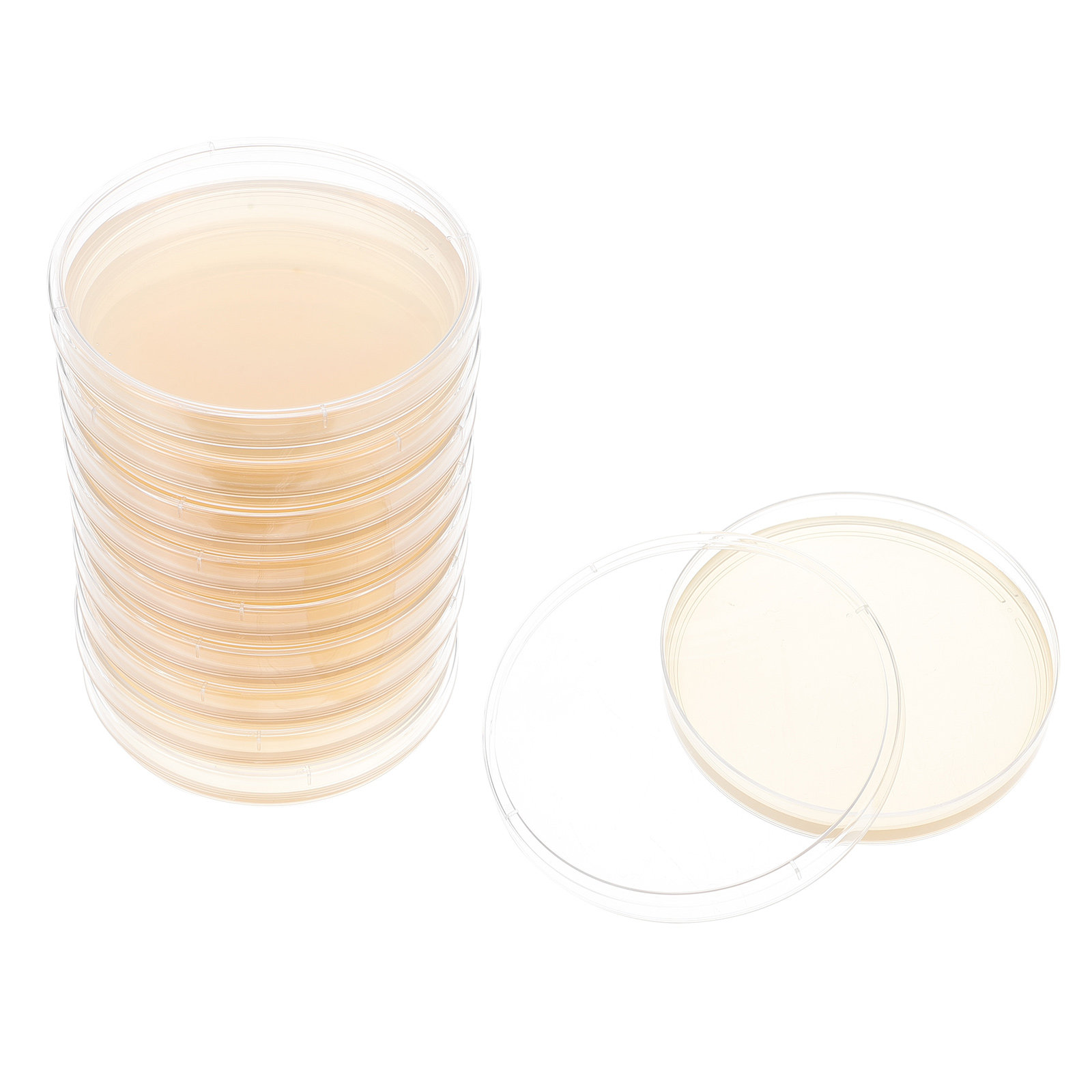 10pcs Nutrient Agar Plates Pre - đánh giá và giá Science Project