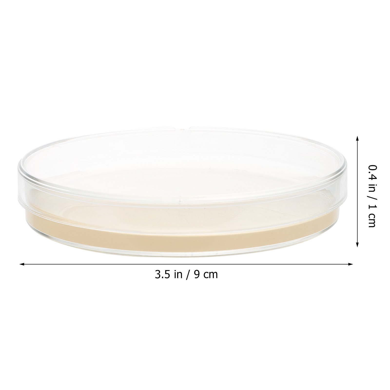 10pcs Nutrient Agar Plates Pre - đánh giá và giá Science Project
