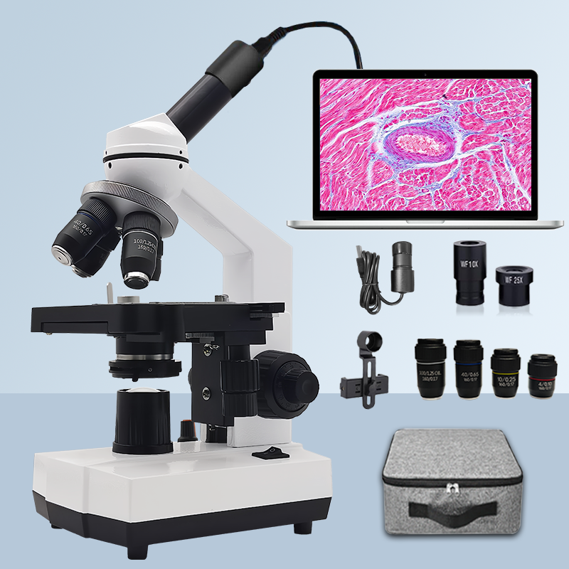 40X-2500X Professional Binocul - đánh giá và giá Microscope Compound 40X