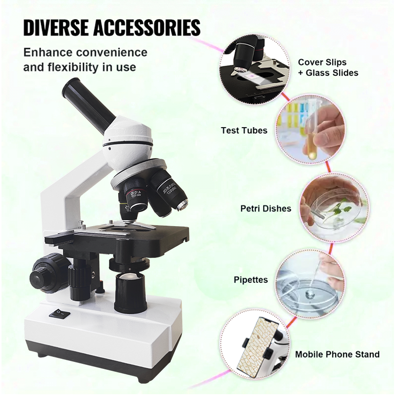 40X-2500X Professional Binocul - đánh giá và giá Microscope Compound 40X