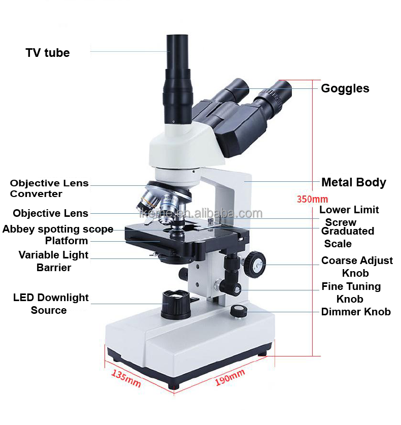 Professional binocular compoun - đánh giá và giá Microscope Compound 40X