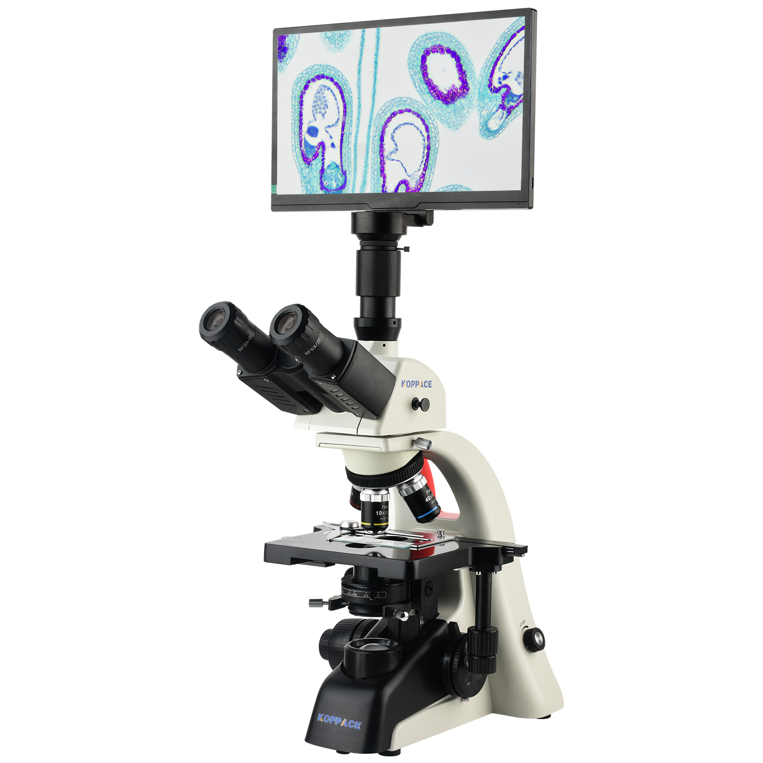 KOPPACE 40X-1600X Electron Com - đánh giá và giá Microscope Compound 40X