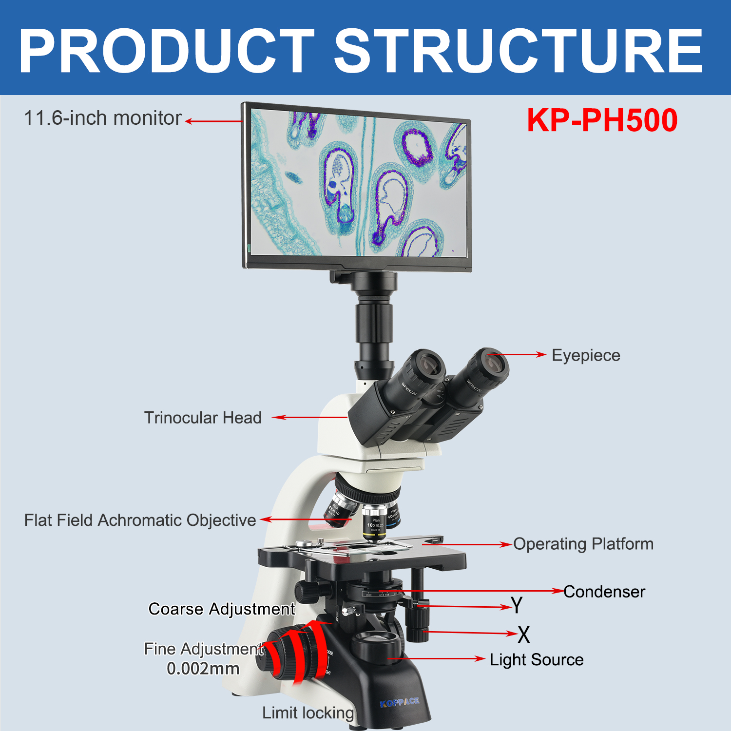 KOPPACE 40X-1600X Electron Com - đánh giá và giá Microscope Compound 40X